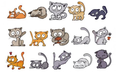 gatti