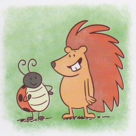 coccinella e porco spino